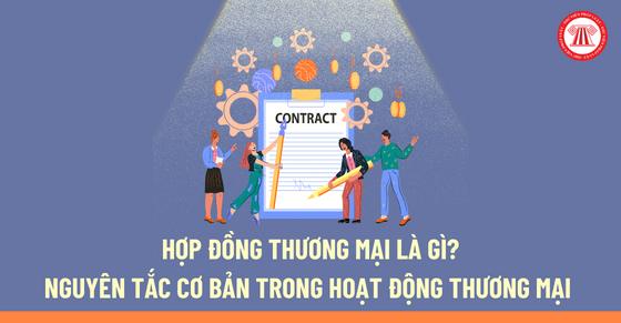 Hợp đồng thương mại là gì? Các nguyên tắc cơ bản trong hoạt động thương mại