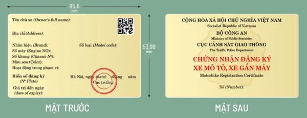 Mức Phạt "MỚI NHẤT" 2024 Khi Không Mang Theo Cà Vẹt Xe (Cập Nhật)