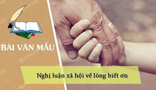 Tìm hiểu về lòng biết ơn trong xã hội, những đoạn văn sáng tạo nhất