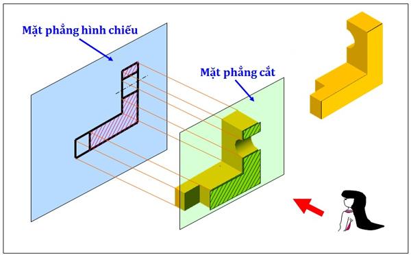 Câu hỏi & Đáp án: Mặt cắt nào được vẽ ngoài hình chiếu ?