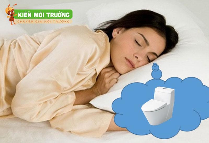 Mơ thấy nhà vệ sinh: Giải mã con số và điềm báo liên quan