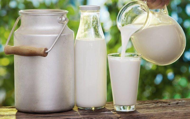 Bị suy thận uống sữa gì tốt nhất? Top 11 sữa tốt cho người suy thận
