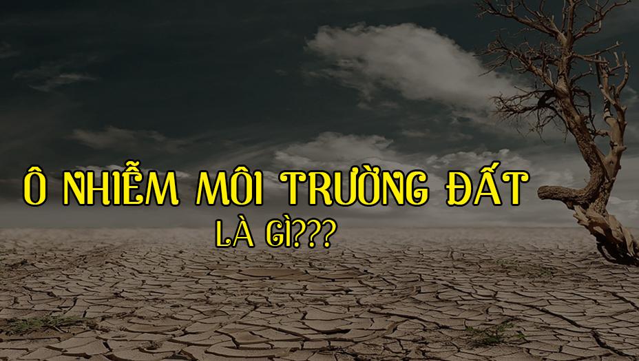 Ô nhiễm môi trường đất là gì? Nguyên nhân và cách khắc phục