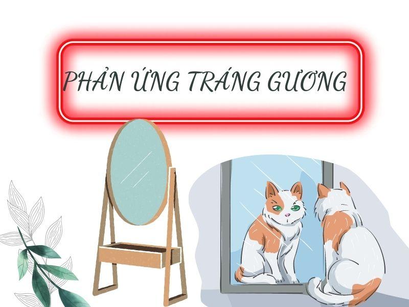 [Chuẩn] Các chất nào tham gia phản ứng tráng gương (AgNO3/NH3)?