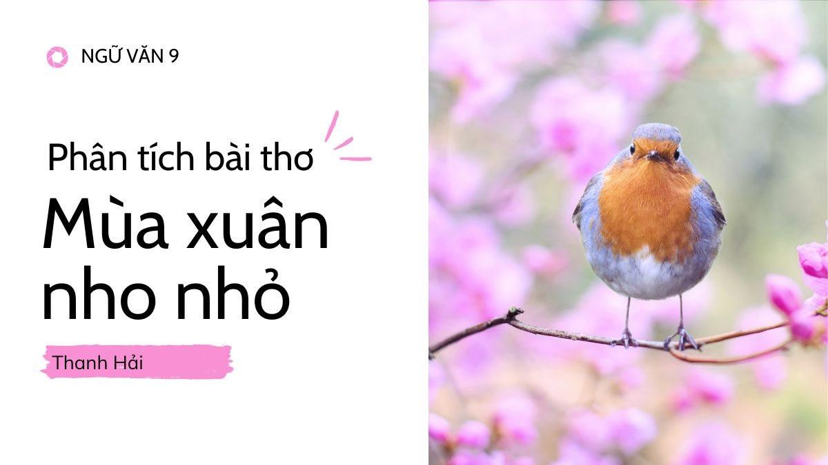 Bài văn mẫu lớp 9: Phân tích bài thơ Mùa xuân nho nhỏ - Thanh Hải