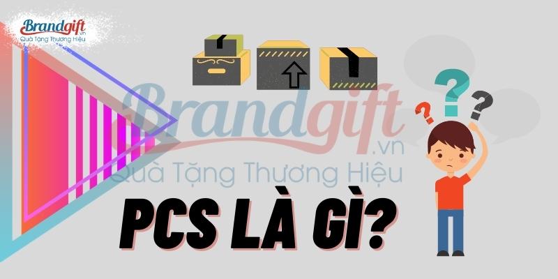 PCS là gì? PCS trong xuất nhập khẩu và ứng dụng đời sống.