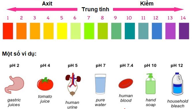 Làm thế nào để kiểm tra độ pH của nước?