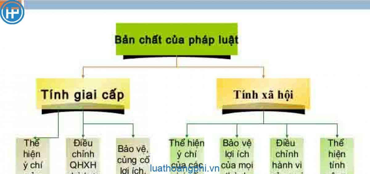 Pháp luật mang bản chất xã hội vì pháp luật