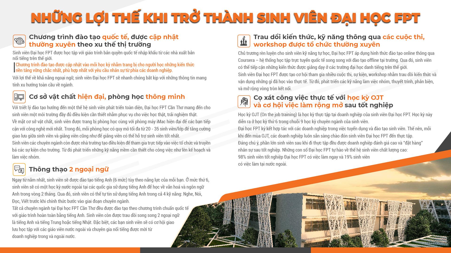 Kỹ thuật phần mềm lương bao nhiêu? Cơ hội nghề nghiệp Kỹ thuật phần mềm