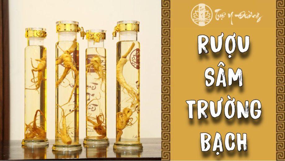 RƯỢU SÂM TRƯỜNG BẠCH – TUỆ Y TỬU