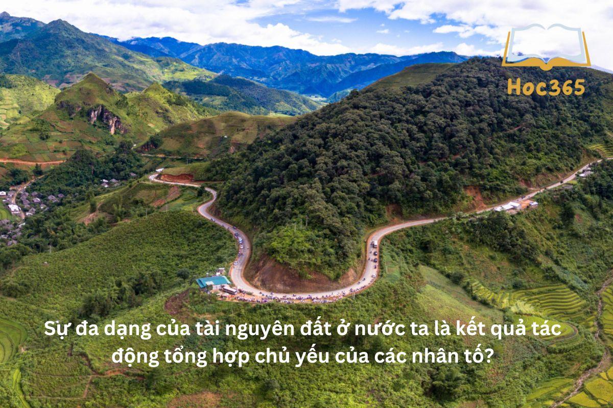 Sự đa dạng của tài nguyên đất ở nước ta là kết quả tác động tổng hợp chủ yếu của các nhân tố?