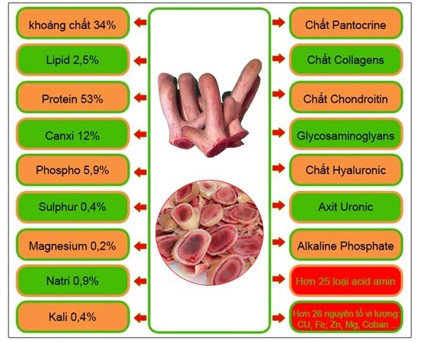 Tác Dụng Của Nhung Hươu Với Người Gầy Như Thế Nào?