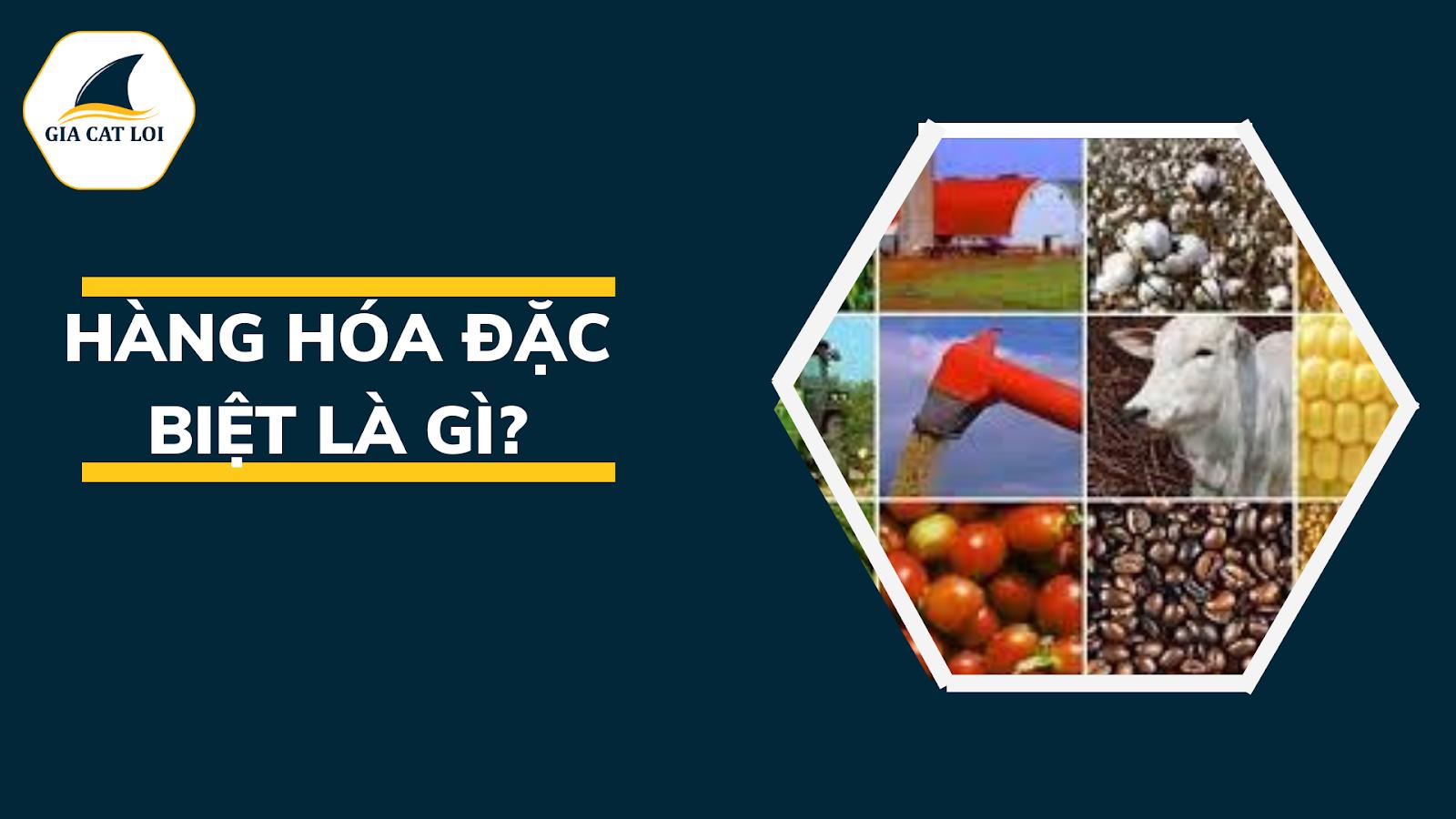 Các Loại Hàng Hóa Đặc Biệt – Cách Nhận Biết