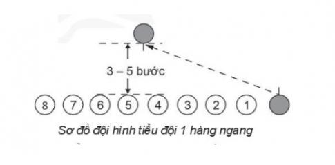 Nêu thứ tự các bước thực hiện đội hình tiểu đội 1 hàng ngang