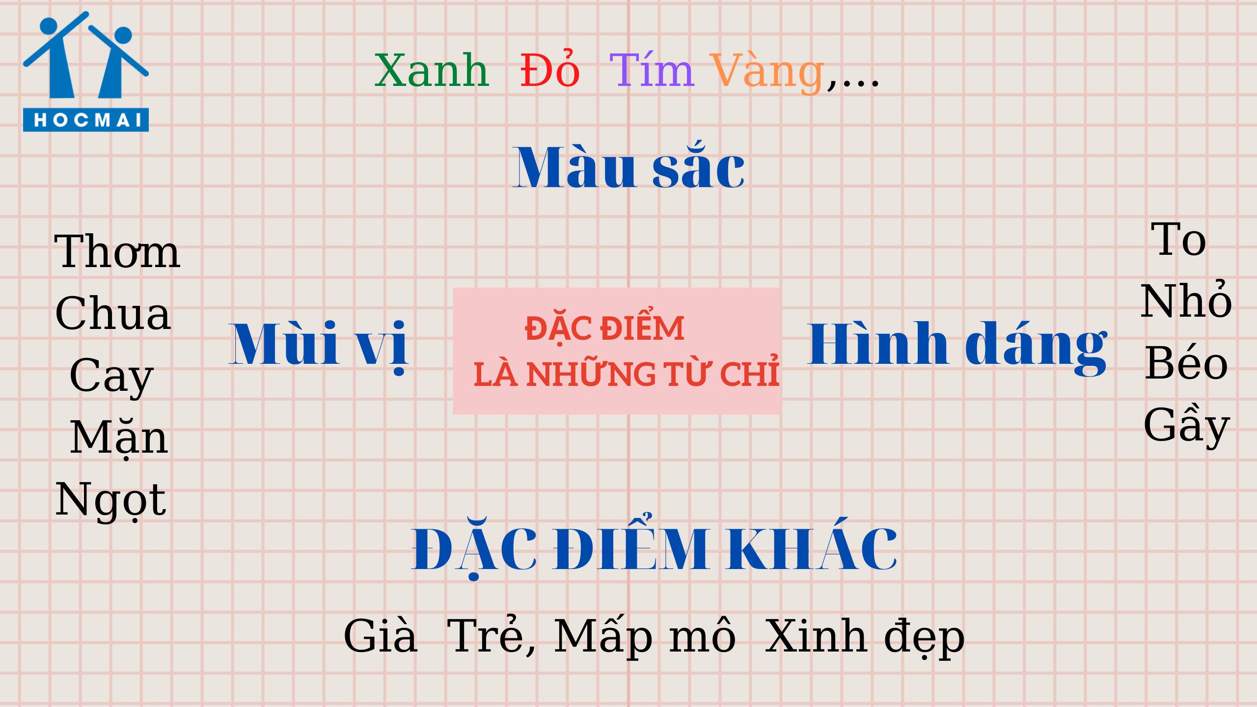 Từ chỉ đặc điểm là gì? Cấu trúc câu Ai thế nào?