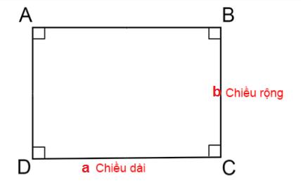 công thức tính nửa chu vi hình chữ nhật chuẩn 100% [Bài tập có lời giải]