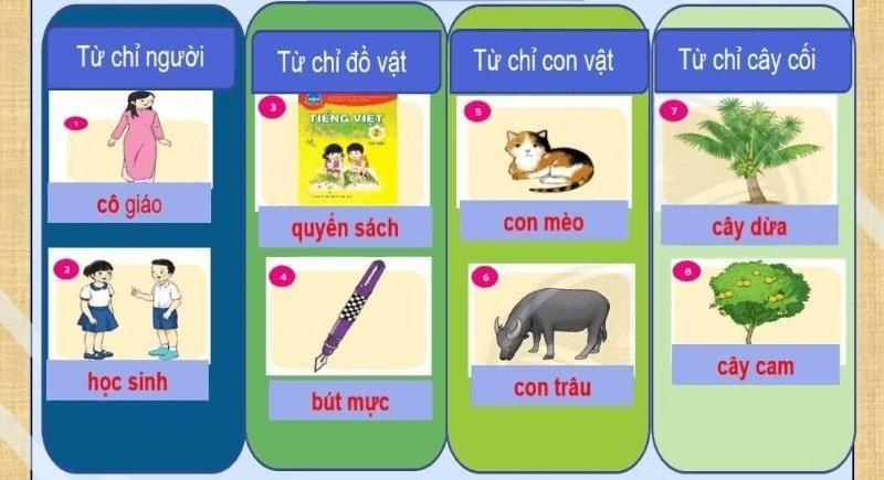 Sự vật là gì? Ví dụ và bài tập về từ chỉ sự vật