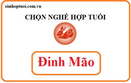 Xem tuổi Đinh Mão hợp nghề gì nhất - Chọn nghề hợp tuổi 1987