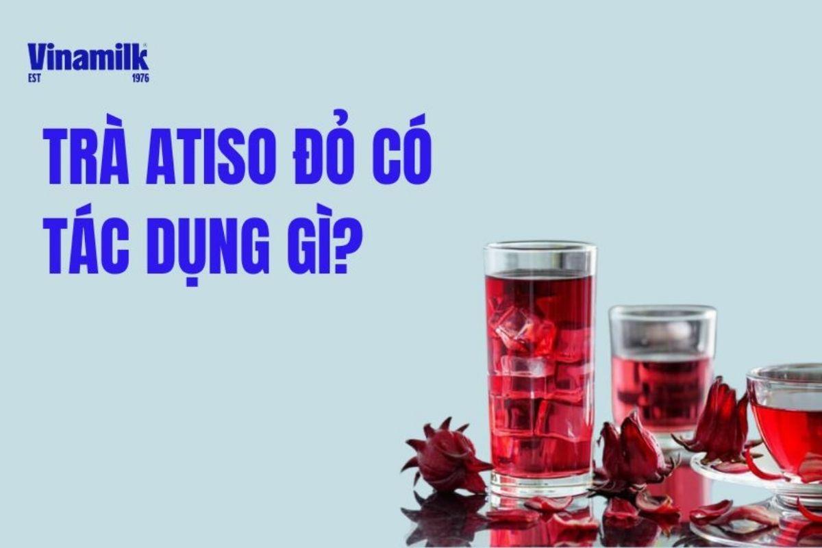 TRÀ ATISO ĐỎ CÓ TÁC DỤNG GÌ? 15 CÔNG DỤNG TUYỆT VỜI