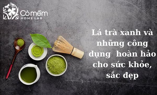 Lá trà xanh có tác dụng gì? Lợi ích mang lại cho sức khỏe