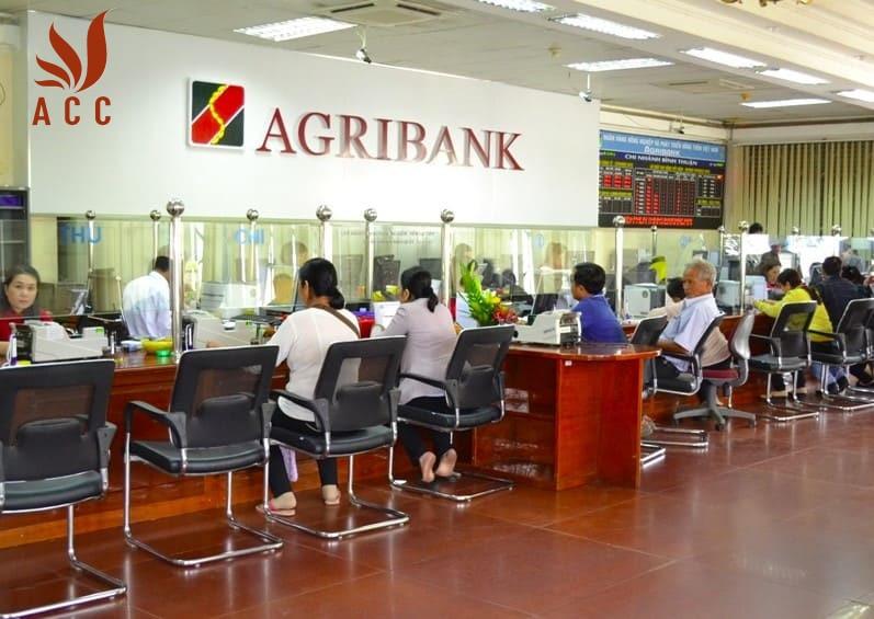 Vay ngân hàng agribank 100 triệu lãi suất bao nhiêu