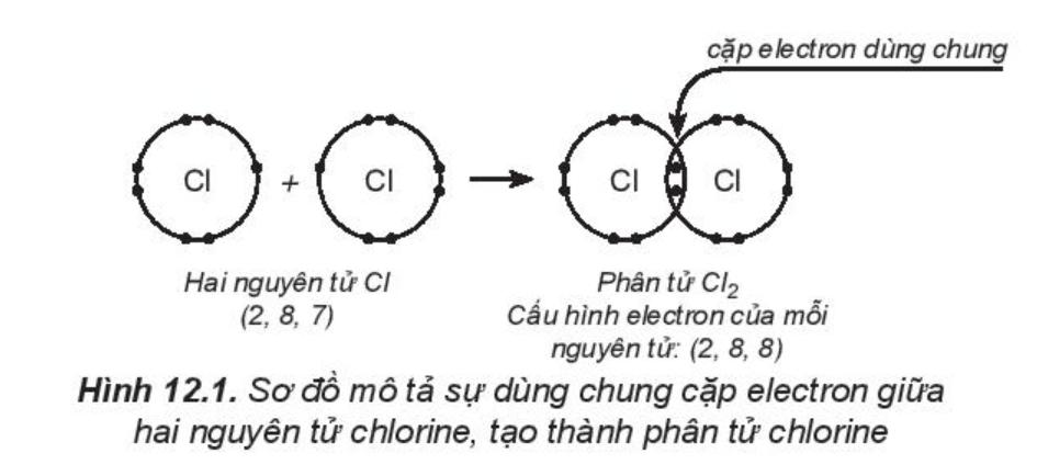 30 Bài tập về Liên kết cộng hóa trị (2024) có đáp án chi tiết nhất