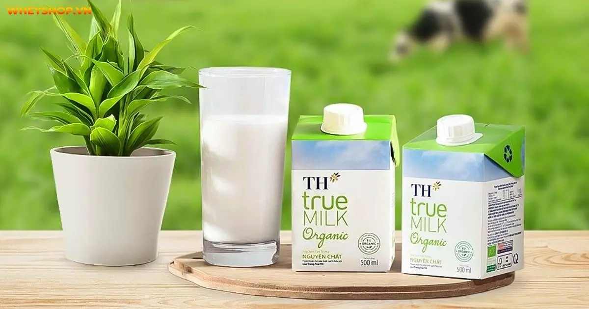 1 Hộp sữa TH True Milk: Theo dõi lượng calo và tác dụng của sữa tươi đối với cân nặng