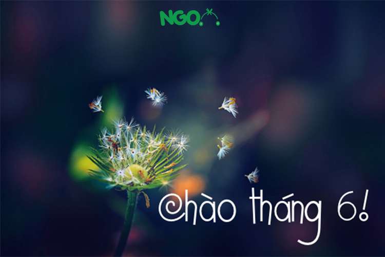 tháng 6 có bao nhiêu ngày 1