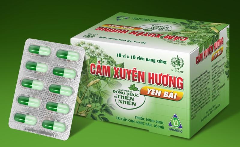 Thuốc cảm Xuyên Hương có dùng được cho bà bầu không? Bà bầu nên làm gì nếu bị cảm?