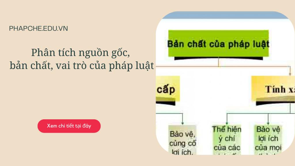 Phân tích nguồn gốc, bản chất, vai trò của pháp luật