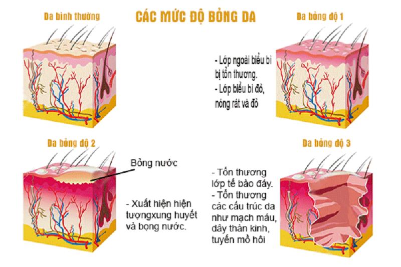 Tin tức