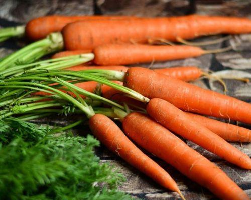 Cà rốt mọc mầm có ăn được không? Lợi ích cà rốt với sức khỏe?