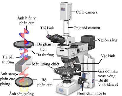 Bài 19: Các chất được cấu tạo như thế nào? (Vật lý 8 học kì 2)