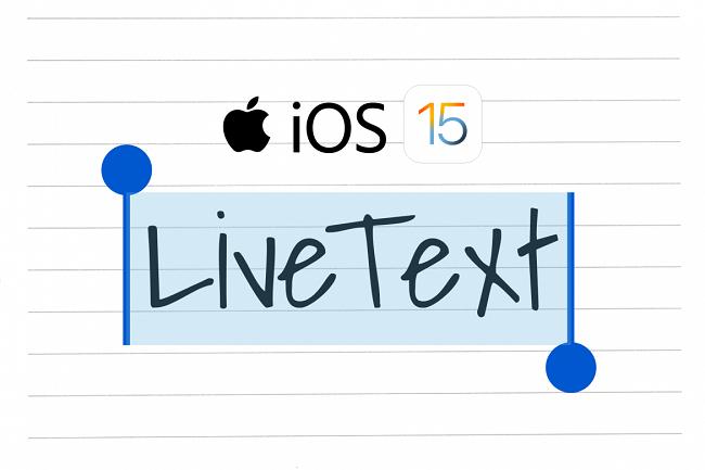 Bật Live Text trên iOS 15 16 thế nào? Cách sao chép chữ trên ảnh iPhone