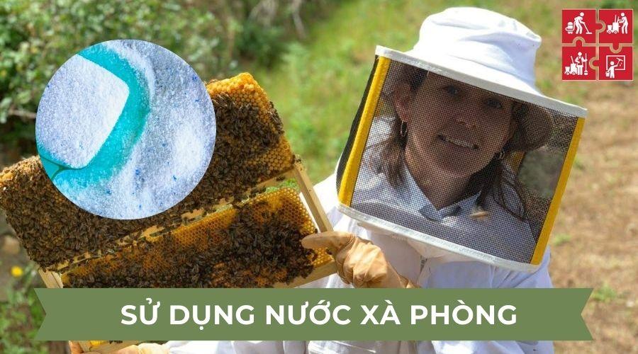 10 Cách đuổi ong làm tổ ra khỏi nhà an toàn, hiệu quả