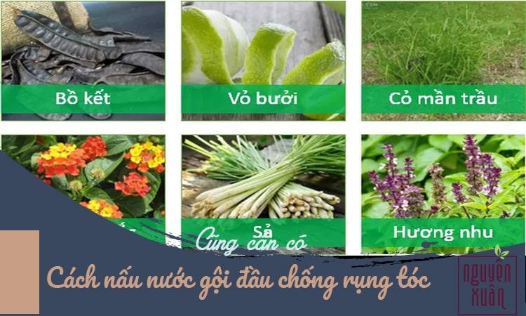 Cách nấu nước gội đầu chống rụng tóc từ thảo dược tự nhiên