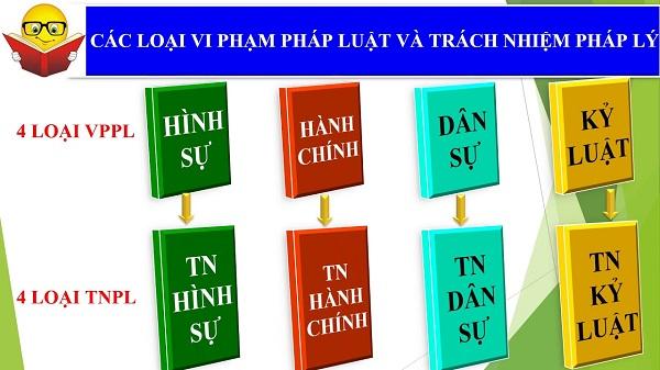 [Tổng hợp] 4 loại trách nhiệm pháp lý và ví dụ cụ thể