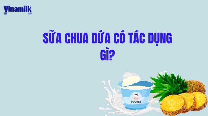 [GIẢI ĐÁP] SỮA CHUA DỨA CÓ TÁC DỤNG GÌ? HƯỚNG DẪN CÁCH LÀM