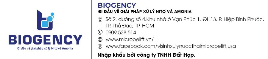 Ô nhiễm môi trường là gì? Có mấy loại ô nhiễm? Nguyên nhân và cách khắc phục