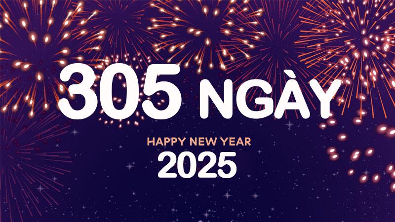 Còn bao nhiêu ngày nữa đến Tết 2025? Đếm ngược Tết 2025