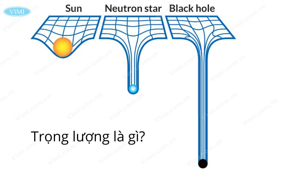 Trọng lượng là gì? Đơn vị đo và công thức tính trọng lượng