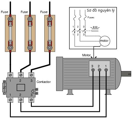 Động cơ không đồng bộ ba pha – các cách khởi động