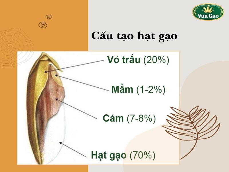 Gạo Cung Cấp Chất Gì Những Dinh Dưỡng Thật Sự Có Trong Gạo