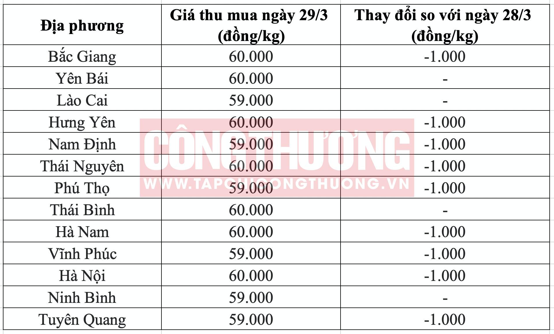 Giá heo hơi hôm nay 29/3: Giảm tại nhiều địa phương ở miền Bắc và miền Trung