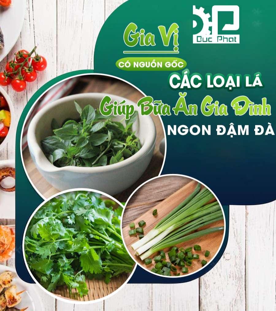 Gia Vị Có Nguồn Gốc Các Loại Lá Giúp Bữa Ăn Gia Đình Ngon Đậm Đà