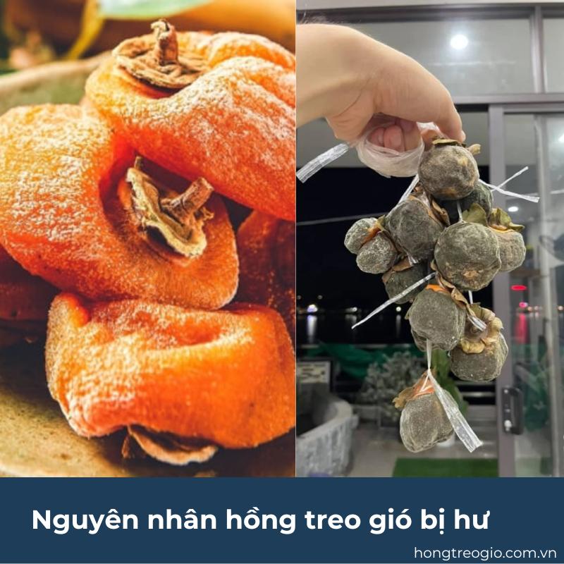 Nguyên nhân hồng treo gió bị hư? Xử lý hồng treo gió bị mốc như thế nào?