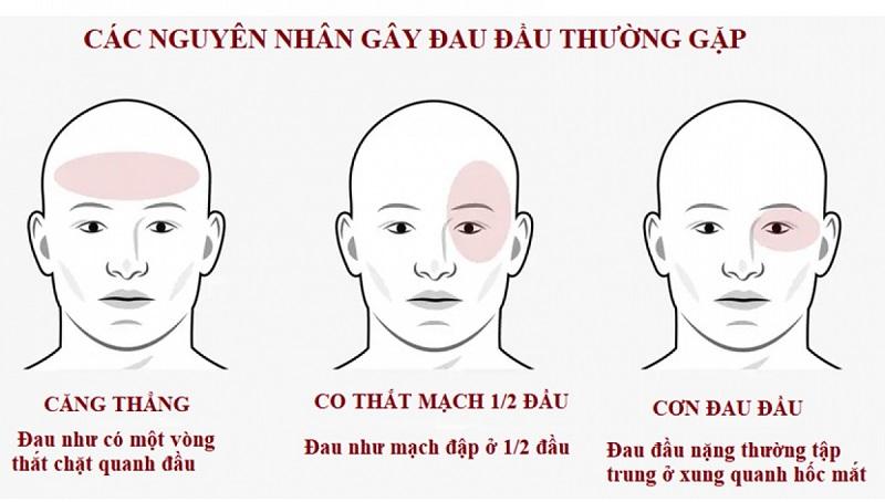 Tin tức