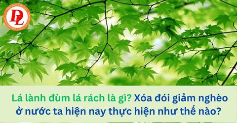 Lá lành đùm lá rách là gì? Xóa đói giảm nghèo ở nước ta hiện nay thực hiện như thế nào?