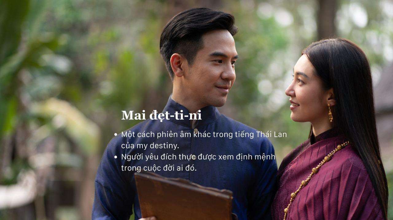 Mai đẹt ti ni