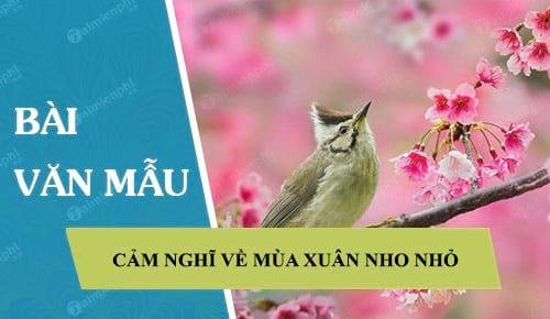 Ý kiến về bài thơ Mùa xuân nho nhỏ của Thanh Hải